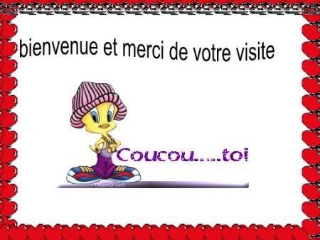 sa c de moa